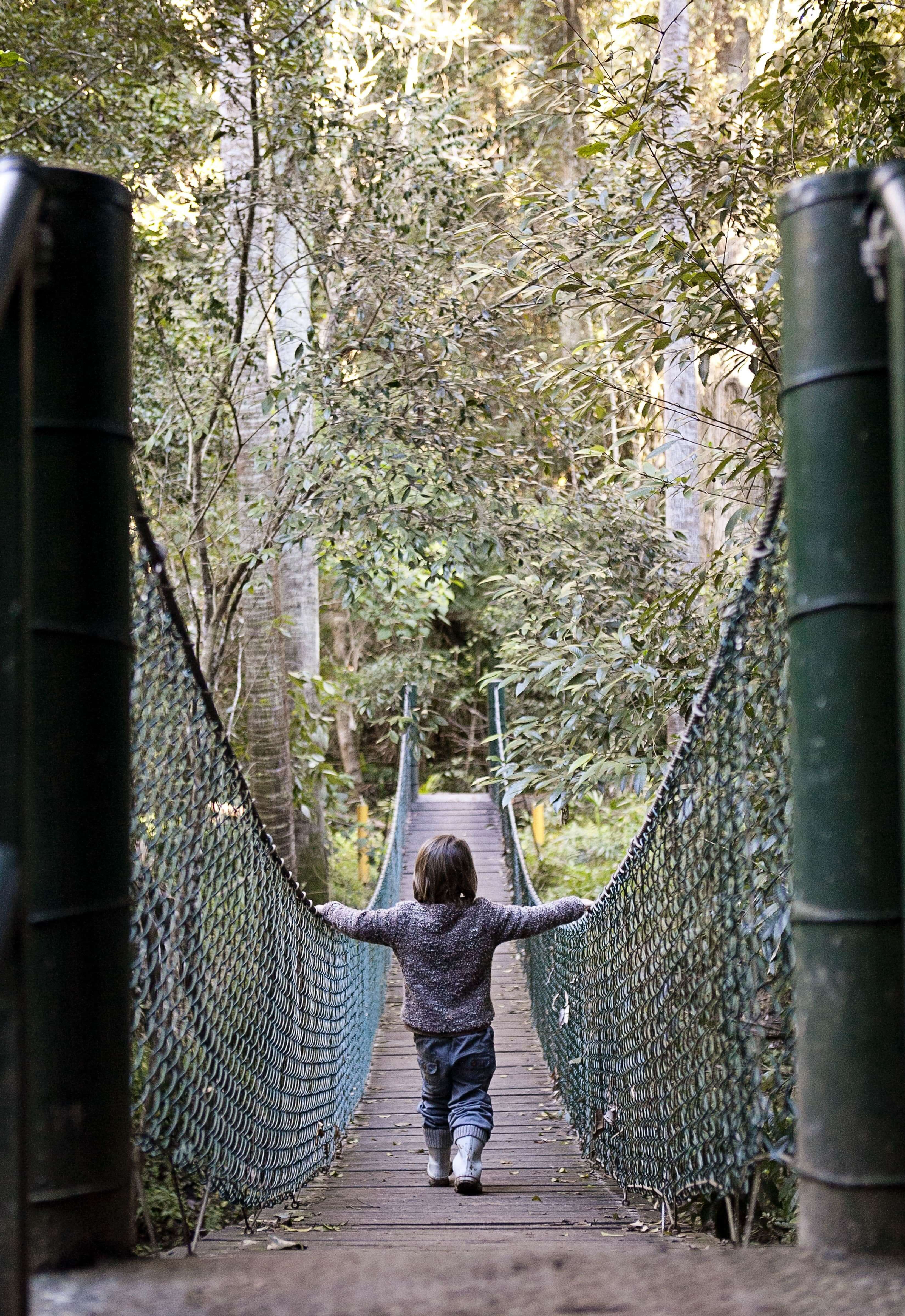 Strickland State Forest Things to do Love Central Coast